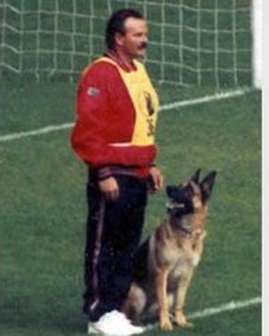 Bob Taylor on a training field with a German Shepherd at heel